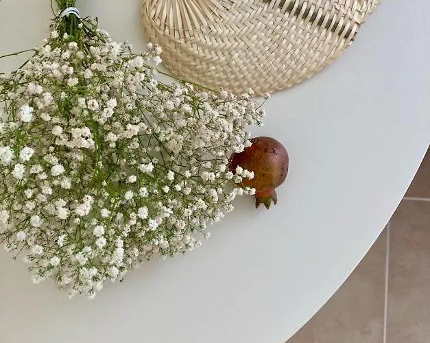 Aestas Case de vacanță *